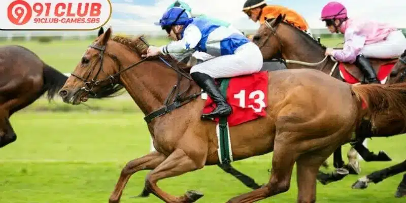 Advanced horse racing betting India tips regarding track analysis