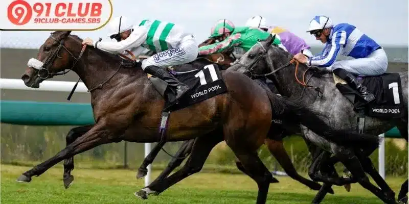 Strategies for maximizing exotic wager returns effectively